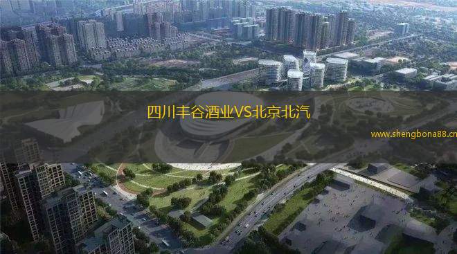 四川豐谷酒業(yè)VS北京北汽