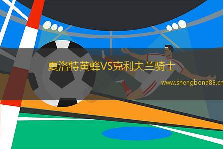 夏洛特黃蜂VS克利夫蘭騎士