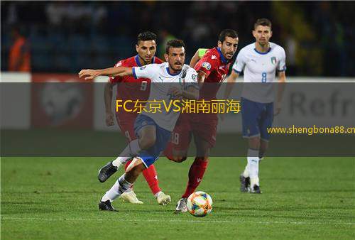 FC東京VS湘南麗海