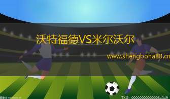 沃特福德VS米爾沃爾