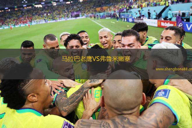 馬拉巴老鷹VS弗魯米嫩塞