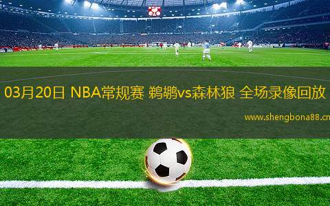 03月20日 NBA常規(guī)賽 鵜鶘vs森林狼 全場(chǎng)錄像回放