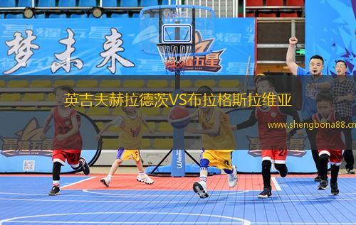 英吉夫赫拉德茨VS布拉格斯拉維亞