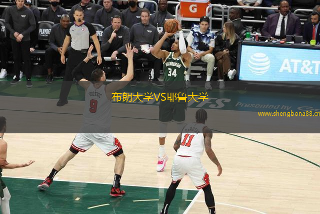 布朗大學(xué)VS耶魯大學(xué)