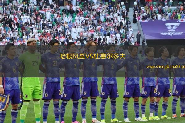 哈根鳳凰VS杜塞爾多夫