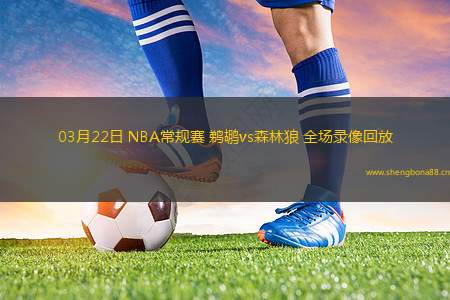 03月22日 NBA常規(guī)賽 鵜鶘vs森林狼 全場(chǎng)錄像回放