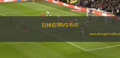 貝林佐納VS韋爾