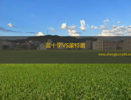藍十字VS蒙特雷