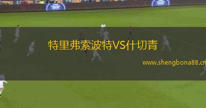特里弗索波特VS什切青