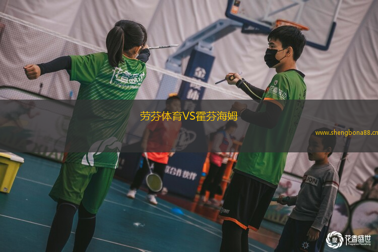 勞芬體育VS霍芬海姆