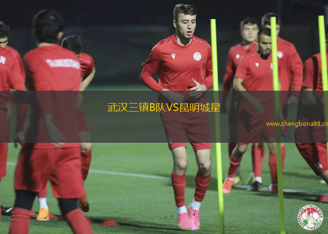 武漢三鎮(zhèn)B隊VS昆明城星