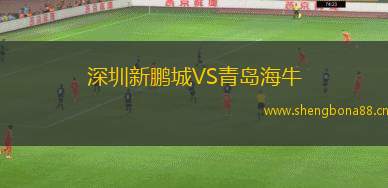 深圳新鵬城VS青島海牛