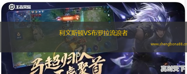 利文斯頓VS布羅拉流浪者