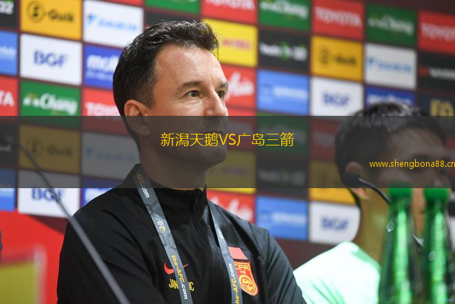新潟天鵝VS廣島三箭