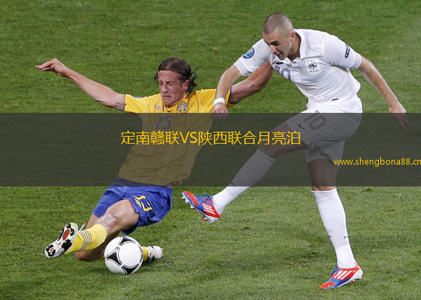 定南贛聯(lián)VS陜西聯(lián)合月亮泊