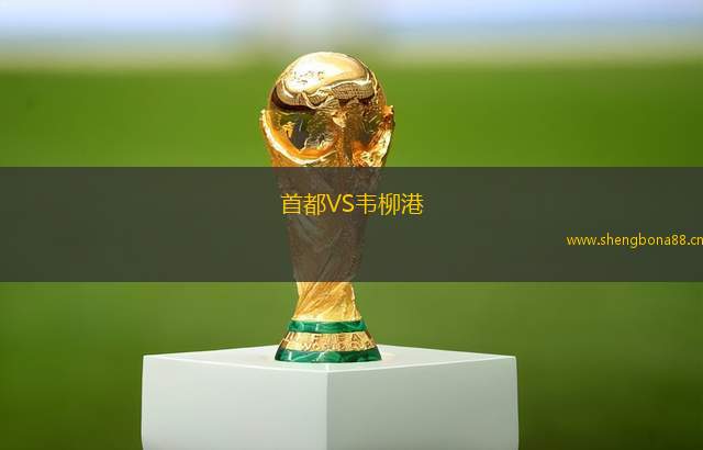 首都VS韋柳港