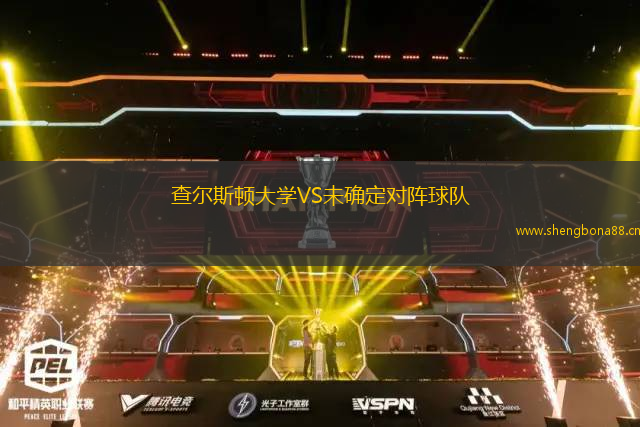 查爾斯頓大學VS未確定對陣球隊