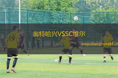 翁特哈興VSSC維爾