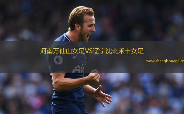 河南萬仙山女足VS遼寧沈北禾豐女足