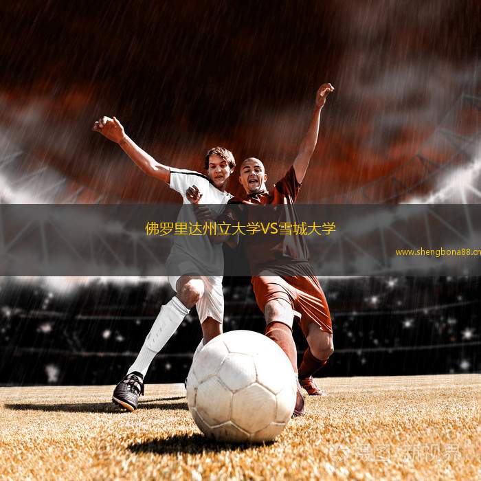 佛羅里達(dá)州立大學(xué)VS雪城大學(xué)