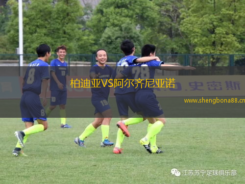 柏迪亞VS阿爾齊尼亞諾