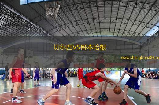 切爾西VS哥本哈根