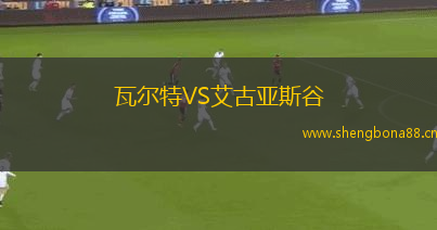 瓦爾特VS艾古亞斯谷