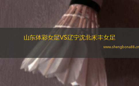 山東體彩女足VS遼寧沈北禾豐女足