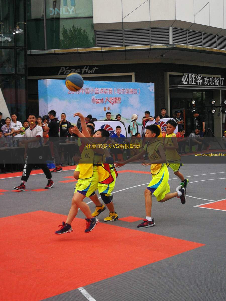杜塞爾多夫VS雷根斯堡