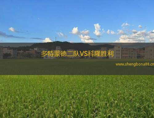 多特蒙德二隊(duì)VS科隆勝利 多特蒙德二隊(duì)VS科隆勝利