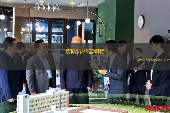 切斯特VS雷明頓