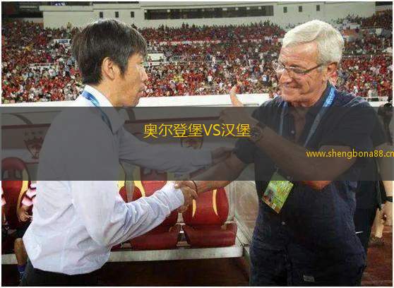 奧爾登堡VS漢堡
