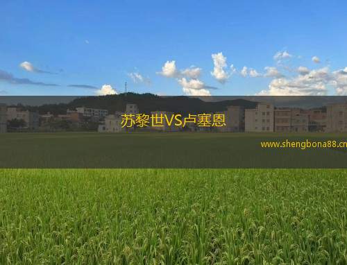 蘇黎世VS盧塞恩