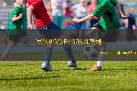 富勒姆VS托特納姆熱刺