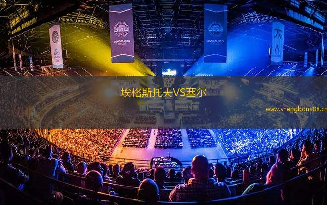 埃格斯托夫VS塞爾