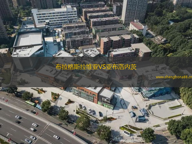 布拉格斯拉維亞VS亞布洛內(nèi)茨