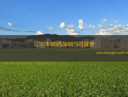 遼寧本鋼VS深圳馬可波羅