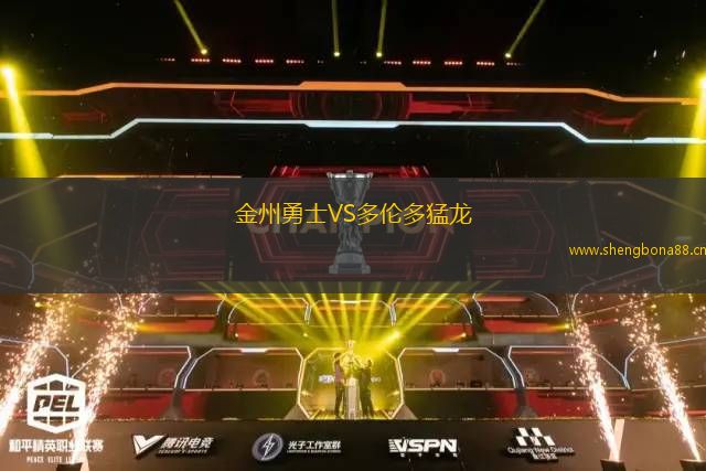 金州勇士VS多倫多猛龍