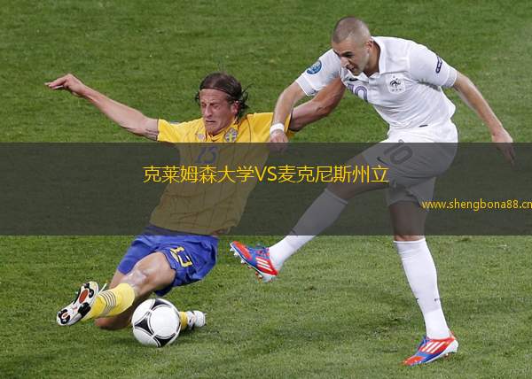 克萊姆森大學(xué)VS麥克尼斯州立