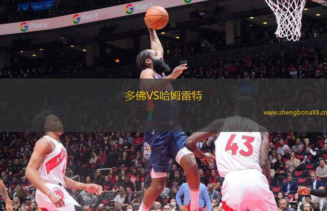 多佛VS哈姆雷特