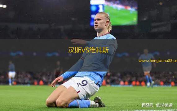 漢斯VS維科斯