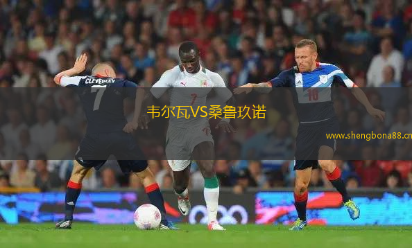 韋爾瓦VS桑魯玖諾
