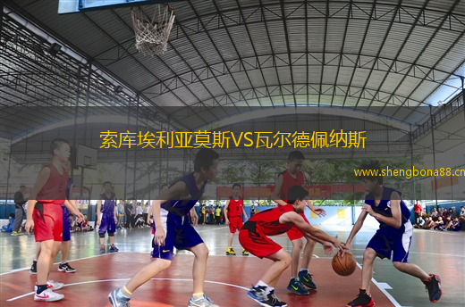 索庫(kù)埃利亞莫斯VS瓦爾德佩納斯