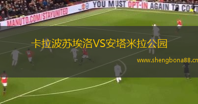 卡拉波蘇埃洛VS安塔米拉公園