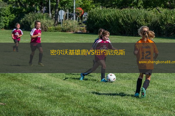 密爾沃基雄鹿VS紐約尼克斯