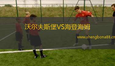 沃爾夫斯堡VS海登海姆
