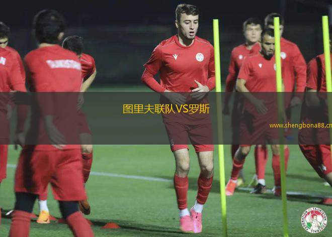圖里夫聯(lián)隊VS羅斯
