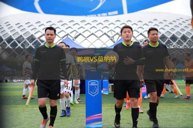 鵜鶘VS莫納納