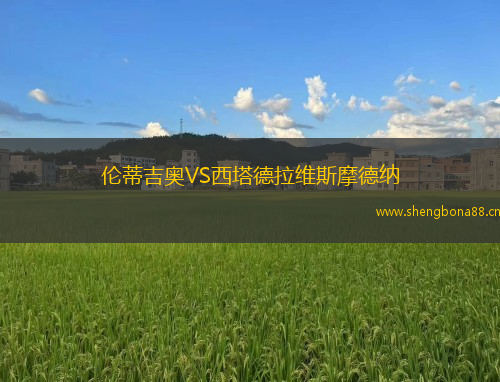 倫蒂吉奧VS西塔德拉維斯摩德納