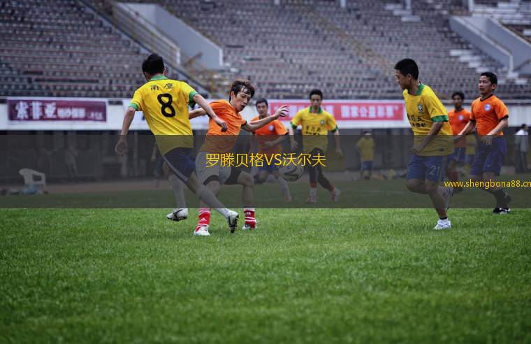 羅滕貝格VS沃爾夫